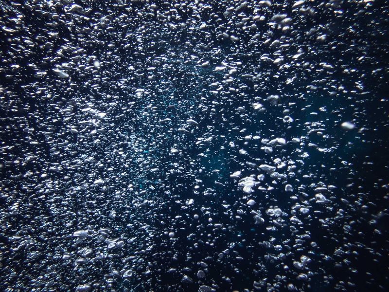 Поток воды и кислород от фильтра нужны бактериям сразу после внесения – выключать фильтр в эти дни нельзя