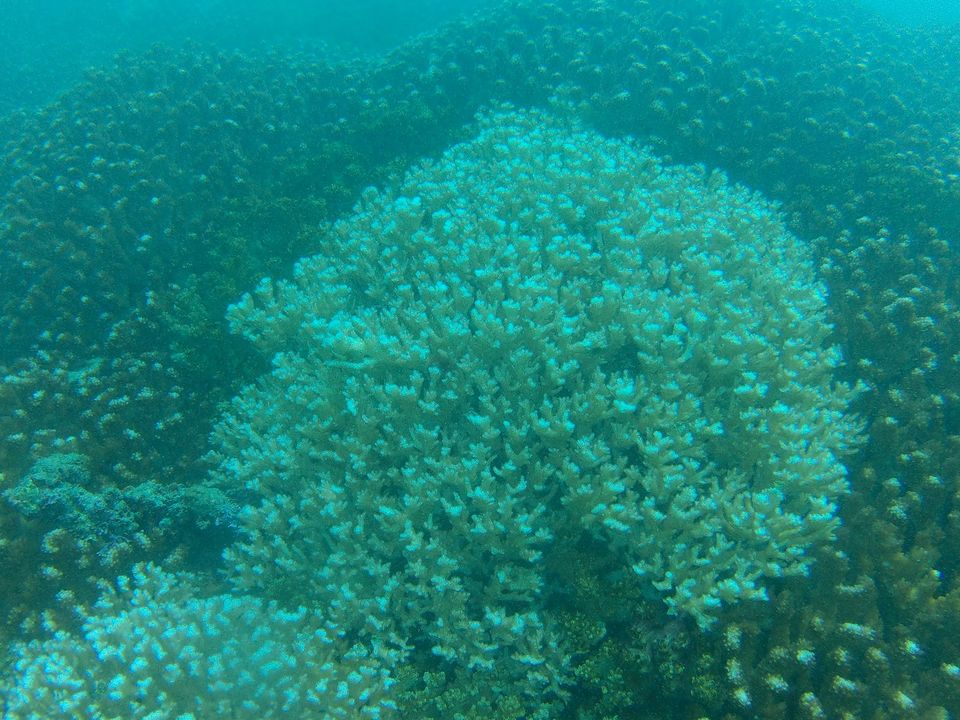 23e77631-0ec6-44e5-81a6-a2f559d3018c