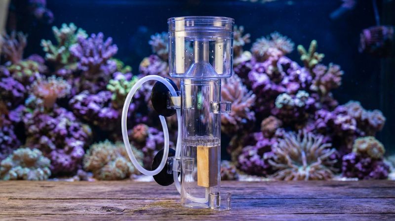 Пенник для морского аквариума, флотатор или скиммер для очистки воды, оборудование для рифа на фоне аквариума