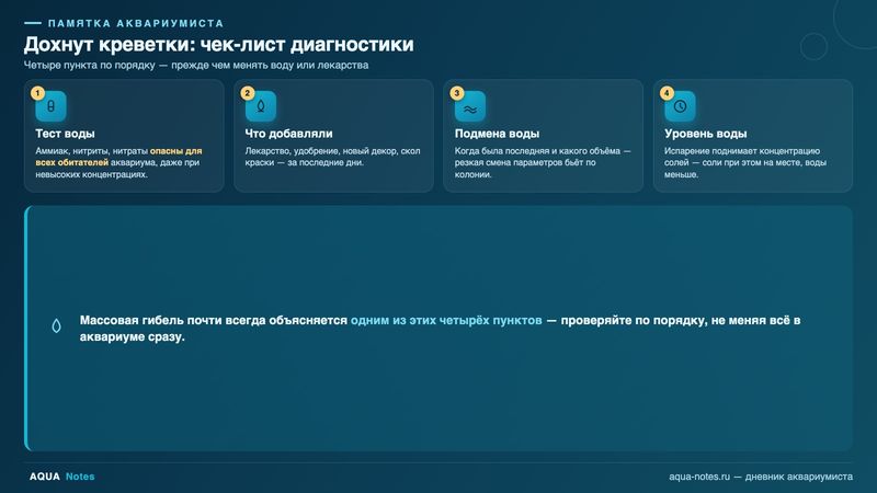Сохраните памятку: четыре пункта чек-листа по порядку, прежде чем менять воду или лекарства