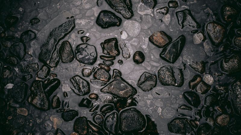 Тёмная скользкая плёнка на мокрой поверхности – похожая текстура и у цианобактерий на грунте и декоре. Кадр иллюстративный, снят не в аквариуме
