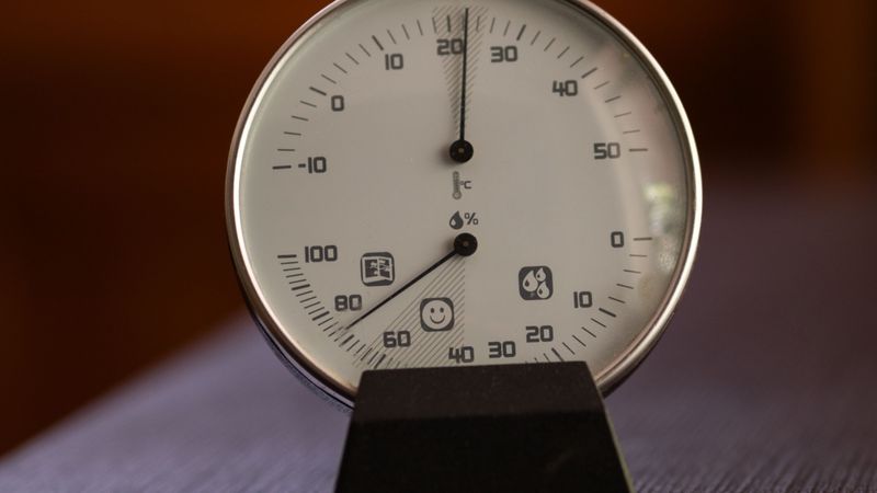 Чем теплее и щелочнее вода, тем выше доля токсичного NH₃ при одном и том же общем показателе аммиака