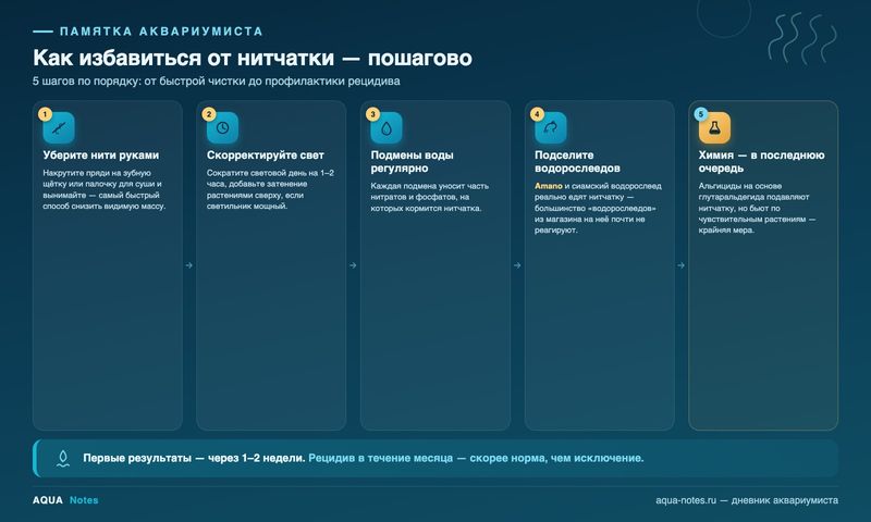 Сохраните памятку – 5 шагов по порядку, от быстрой чистки до профилактики рецидива
