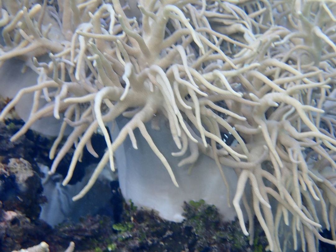 83118b6f-8cdd-409e-b1c6-5928fd177c63