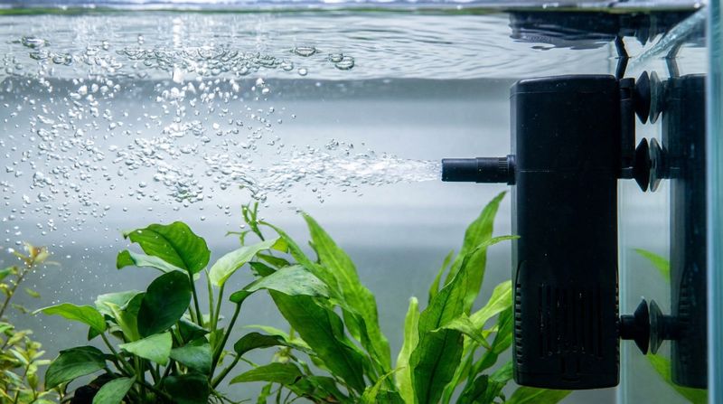 Кондиционер превращает мелкую пыль в крупные комки, которые ваш внутренний фильтр должен успеть отфильтровать за сутки