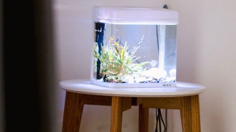 Даже маленький аквариум – не декоративная ваза: сначала стоит прикинуть вес воды и грунта