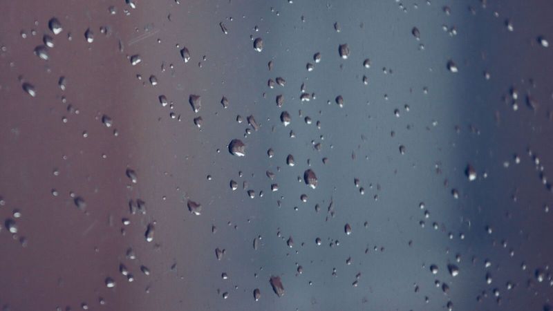 Такие же капли, только на обычном оконном стекле, – принцип образования конденсата одинаковый что на окне, что на крышке аквариума; кадр не аквариумный, использован как иллюстрация текстуры конденсата
