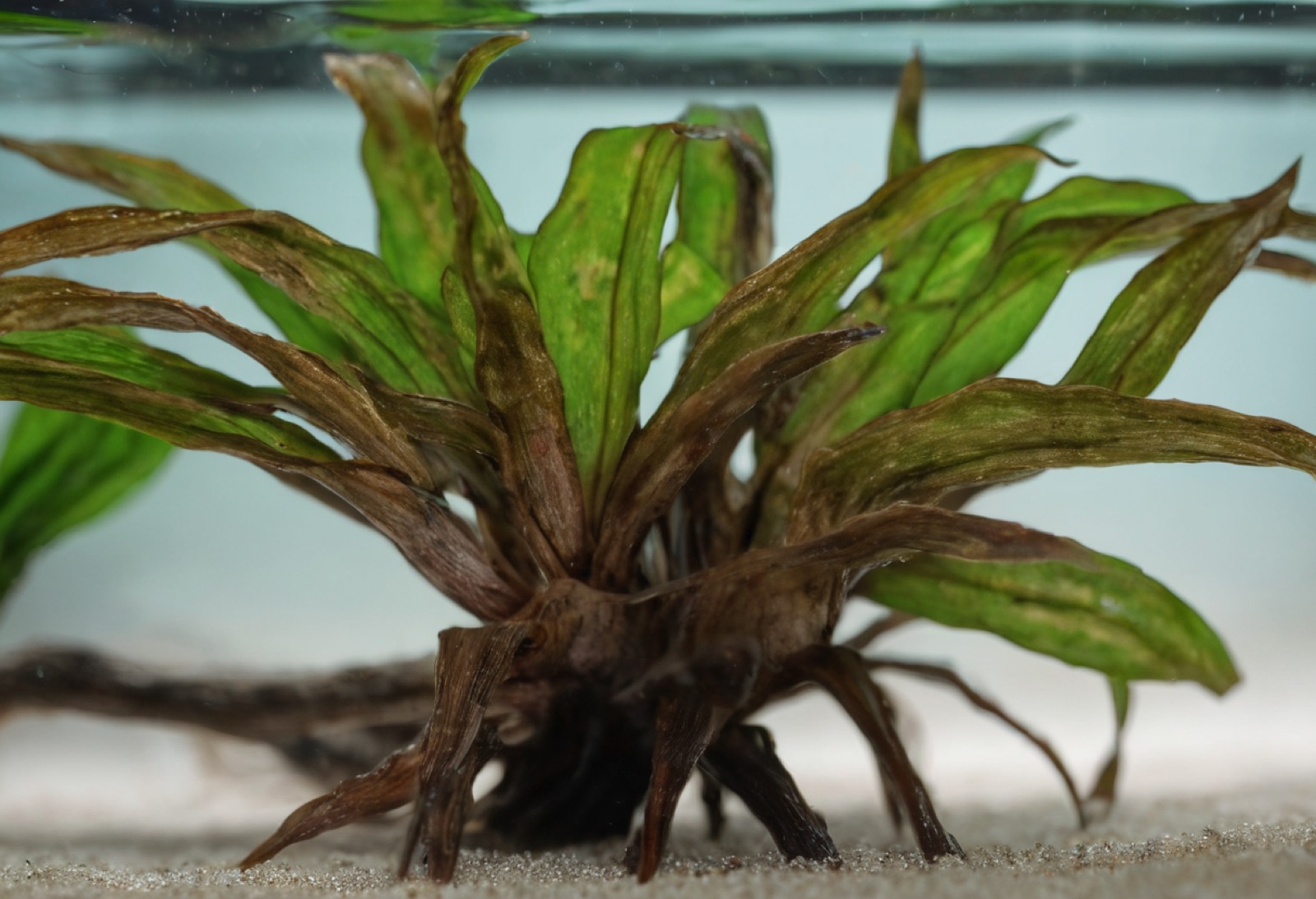 fe862117-fd8a-4e27-aa4e-e161850bdef1